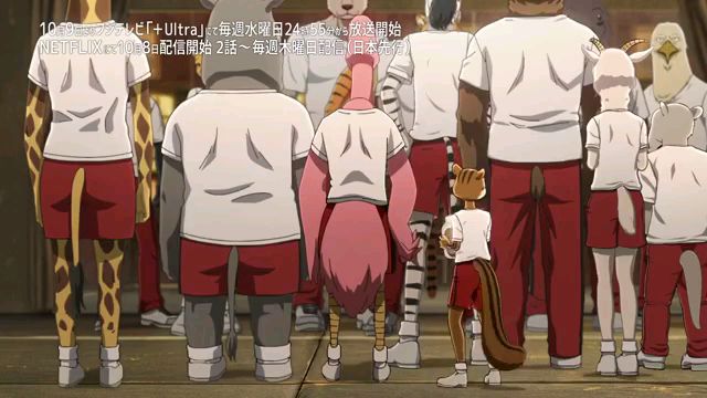 动画「BEASTARS」第一话先行片段